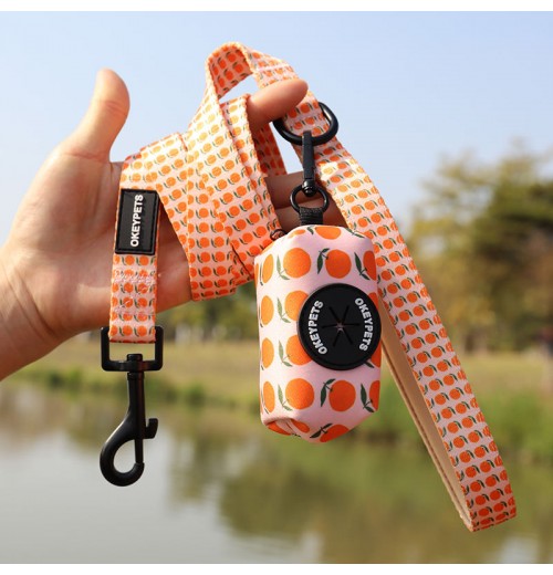 Pet Accessories Wholesale Dog Leash with Poop Bag Holder Customized Christmas Pattern Neoprene Dog Leash