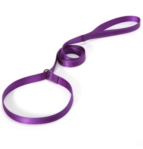 Custom Anti-Theft Adjustable Braided Nylon P Chain Slip Dog Show Leads Reflective Training Leash Pets Cats Direct Manufacturer