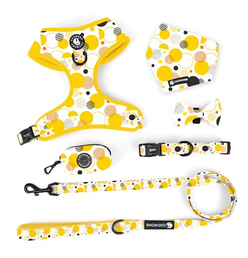 Custom Unique Dog Harness Customizable Neoprene Pet Harness Leash Collar Dog Collar Accessories Manufacturer