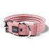 Simple Design Nylon Dog Collar With Soft Neoprene Padded Adjustable For Small Medium And Large Dogs Or Puppies