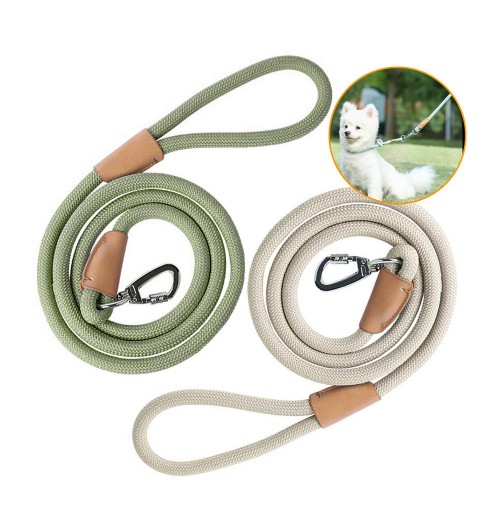 Reflective Foam Handle Metal Buckle Custom Logo Slip on Adjustable Nylon Walking 1.5m Long Pet Cat Dog Lead Rope Leash